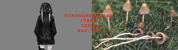 трава Абаза
