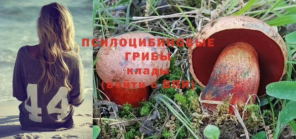 трава Абаза