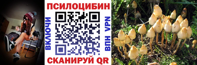 Псилоцибиновые грибы ЛСД  где купить наркоту  hydra ONION  Луга 